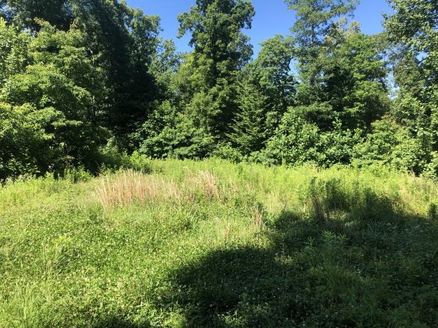 4390 State Forest Road Wolf Lake, IL 62998 - Photo 13 of 25 Gallery Image 13