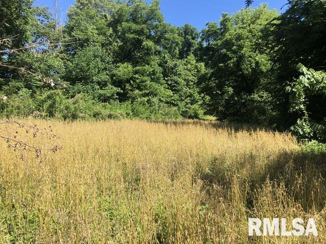 4390 State Forest Road Wolf Lake, IL 62998 - Photo 5 of 25 Gallery Image 5