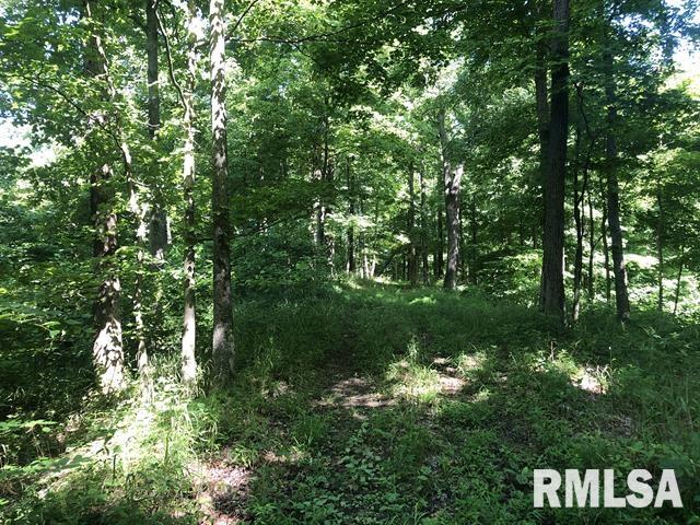 4390 State Forest Road Wolf Lake, IL 62998 - Photo 8 of 25 Gallery Image 8