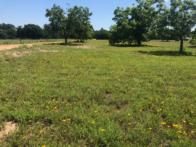 -henry Prairie Rd Henry Prairie Road, Unit COUNTYROAD Franklin, TX 77856 - Photo 10 of 17