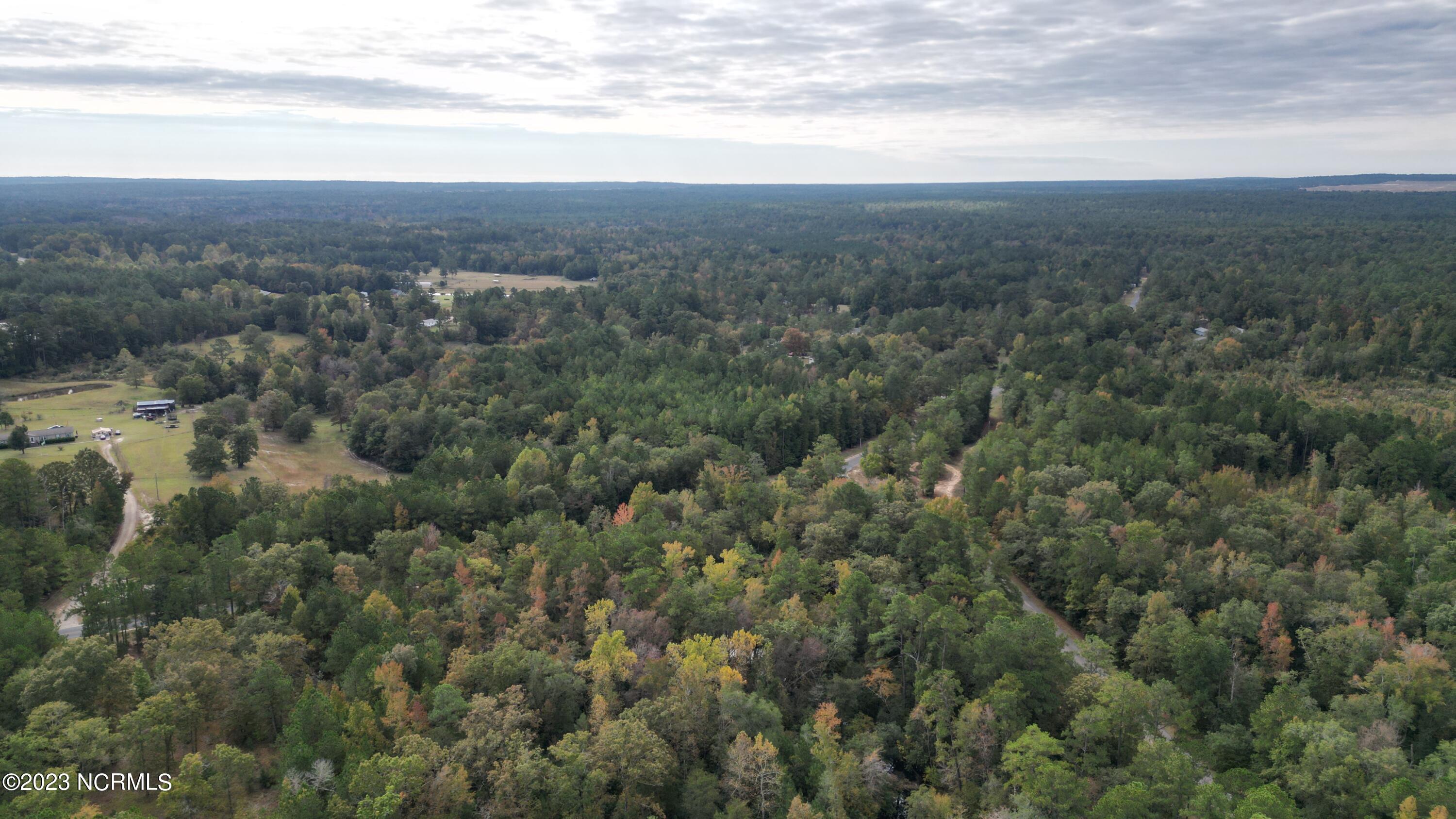 18.33-acre McPherson Road Vass, NC 28394 - Photo 15 of 39 DJI_0106