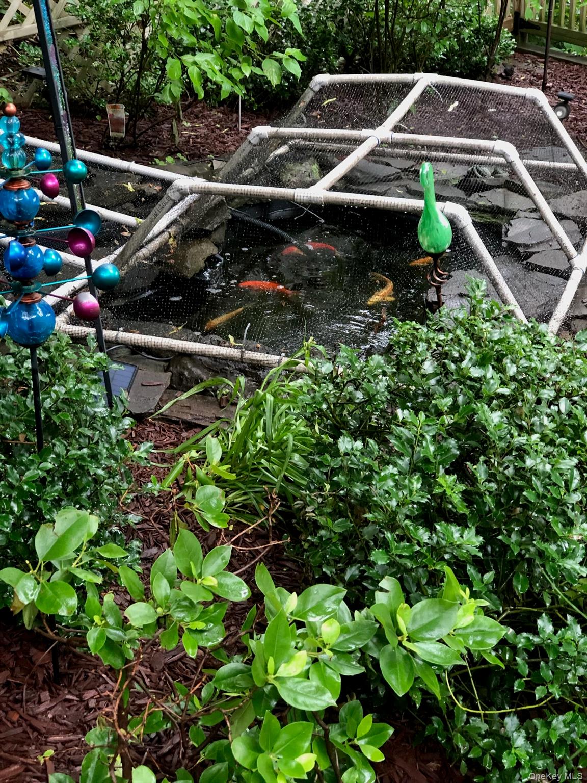 909 Rte 9W Nyack, NY 10960 - Photo 17 of 17 Koi pond by deck