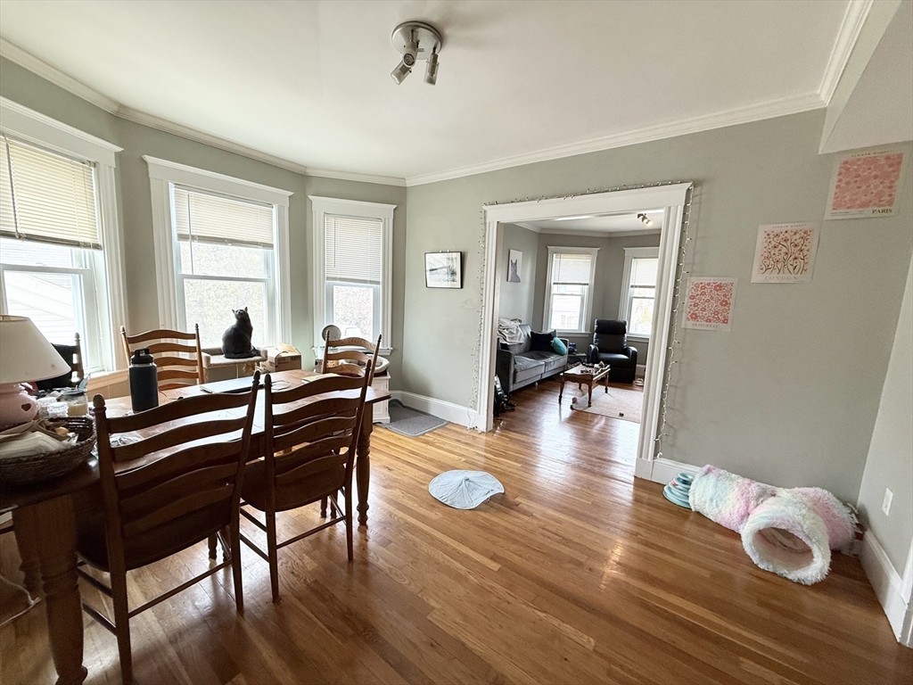 81 Florence Street, Unit 2 Boston, MA 02131 - Photo 3 of 11 a living room with furniture and wooden floor