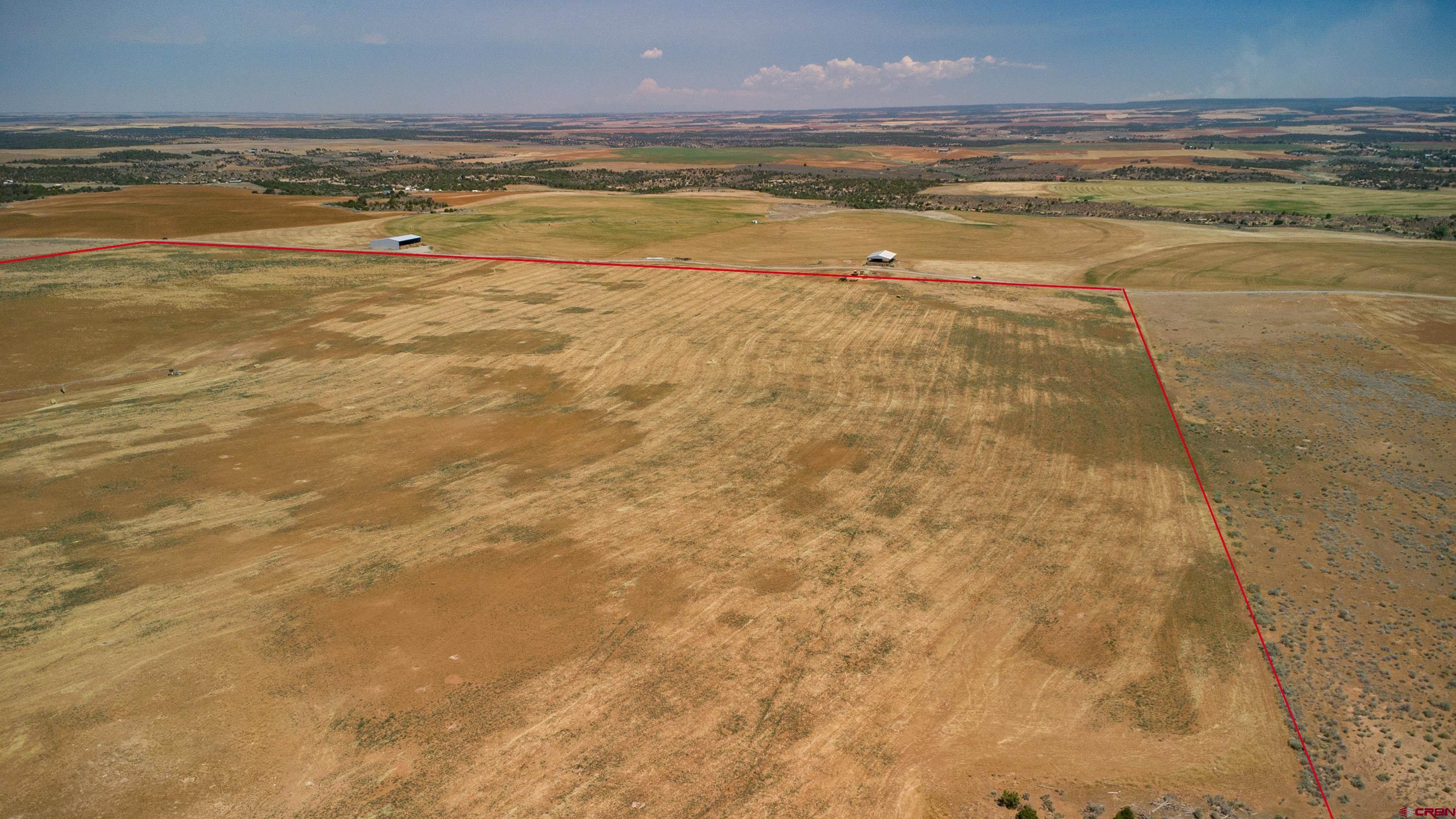 Tbd Tbd Road Pleasant View, CO 81331 - Photo 2 of 17