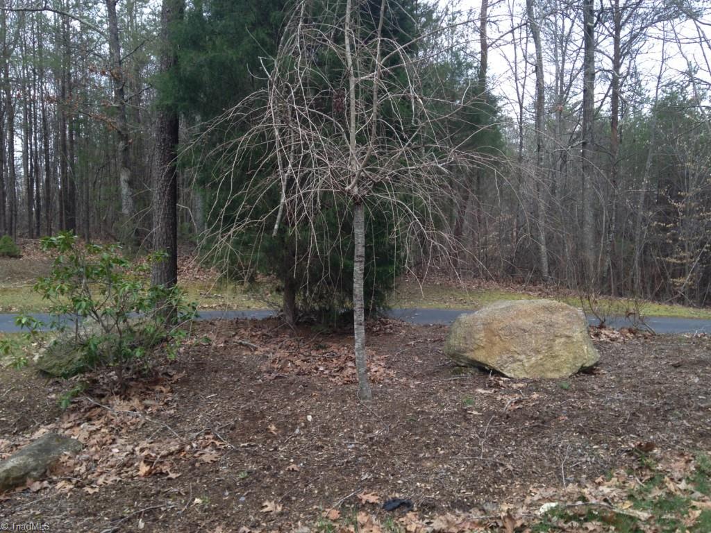 8640 Field Creek Farms Road Germanton, NC 27019 - Photo 2 of 20