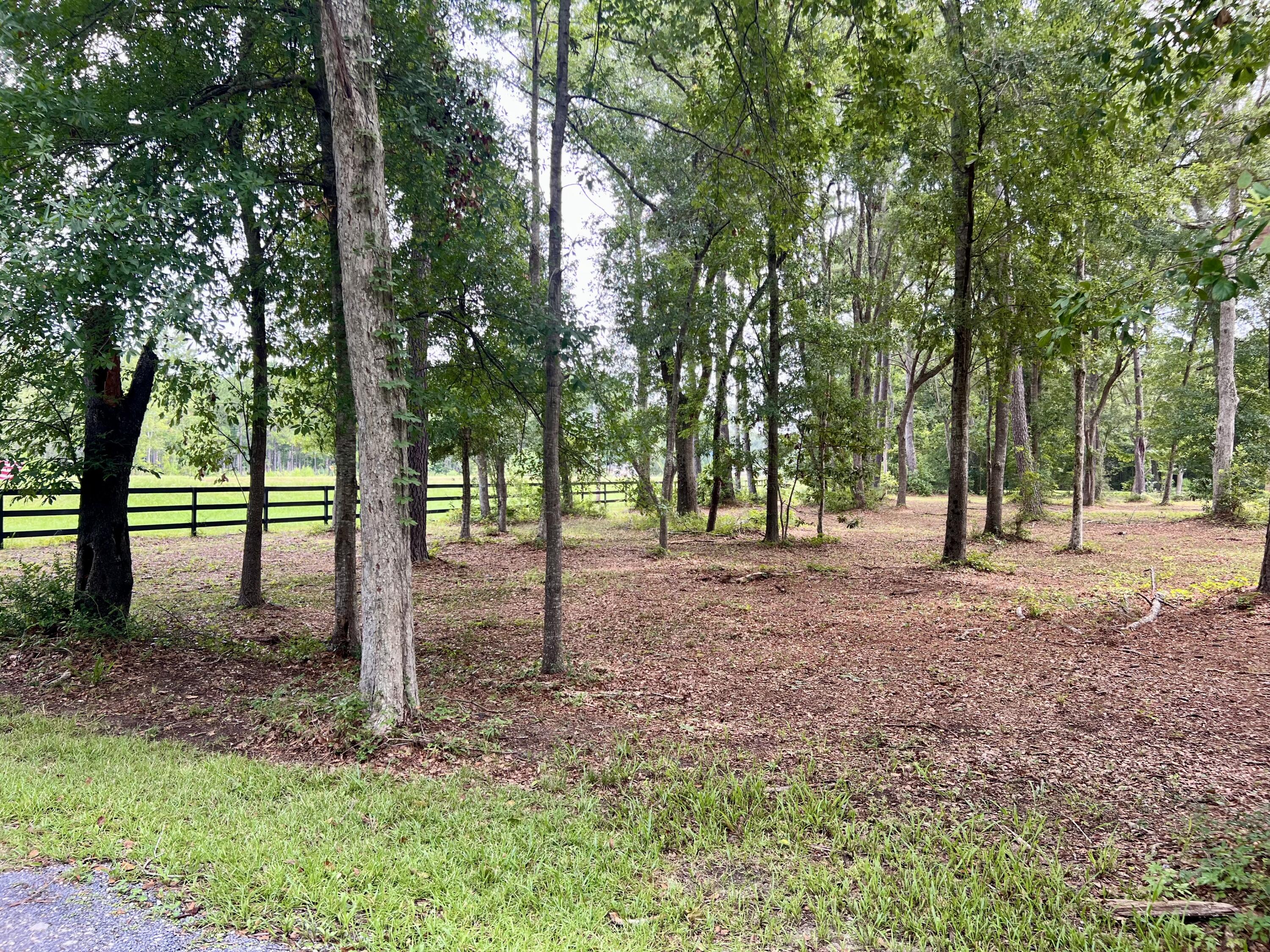 5565 Huckleberry Lane McClellanville, SC 29458 - Photo 6 of 19 IMG_1503