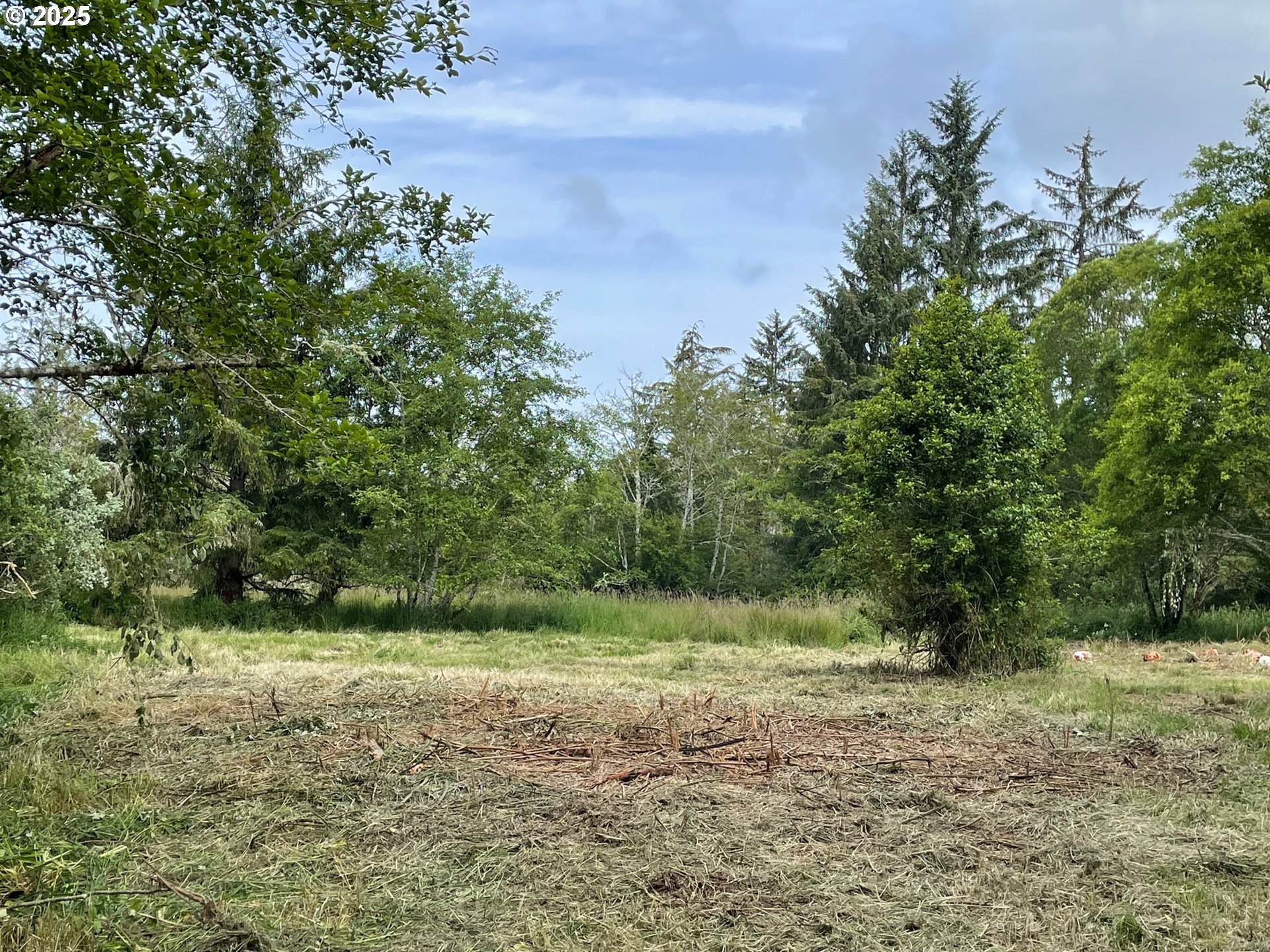 Salminen Road Gearhart, OR 97138 - Photo 3 of 5 Gallery Image 3