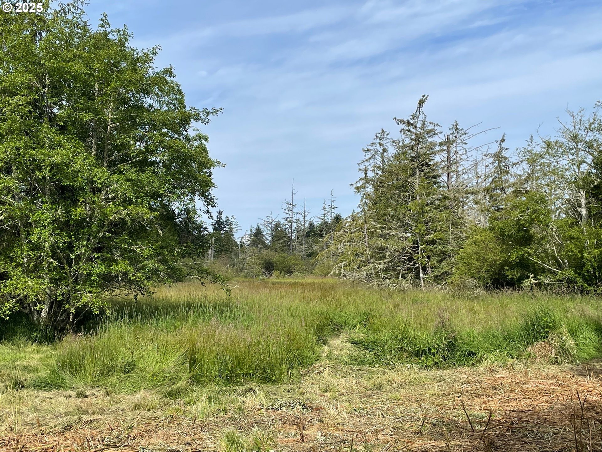 Salminen Road Gearhart, OR 97138 - Photo 5 of 5 Gallery Image 5
