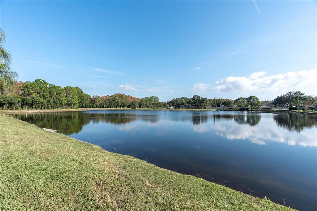 1226 Hoversham Drive New Port Richey, FL 34655 - Photo 5 of 41 a view of a lake with houses in the background