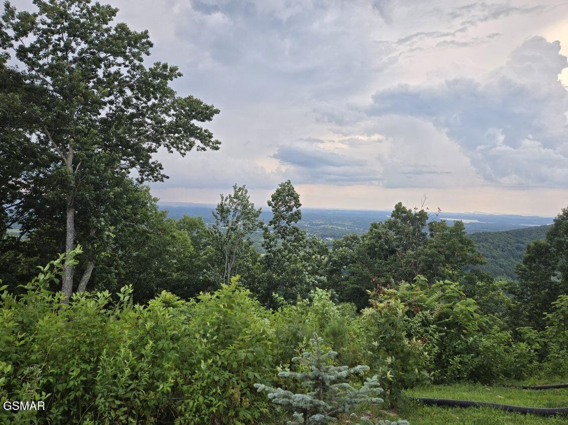 3 Shell Mountain Road Sevierville, TN 37876 - Photo 5 of 17 Gallery Image 5