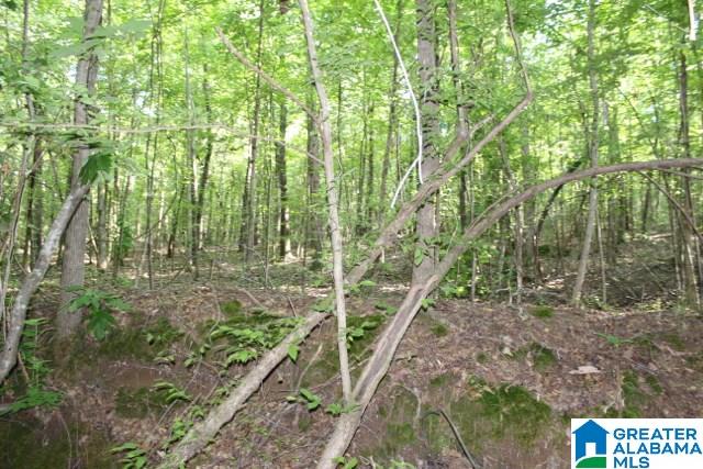 1 Benefield Gap Road Attalla, AL 35954 - Photo 8 of 50