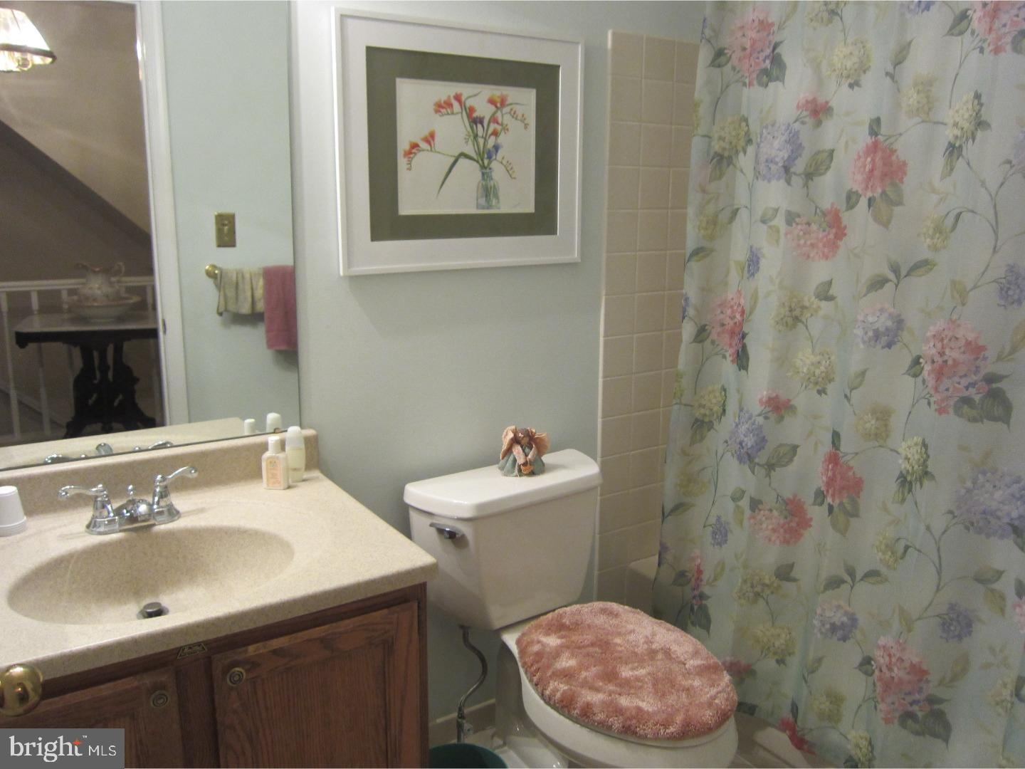 261 Tulip Tree Court Blue Bell, PA 19422 - Photo 13 of 16 Bathroom