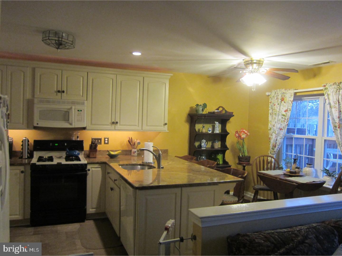 261 Tulip Tree Court Blue Bell, PA 19422 - Photo 4 of 16 Kitchen