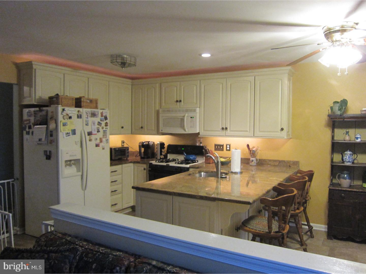 261 Tulip Tree Court Blue Bell, PA 19422 - Photo 5 of 16 Kitchen