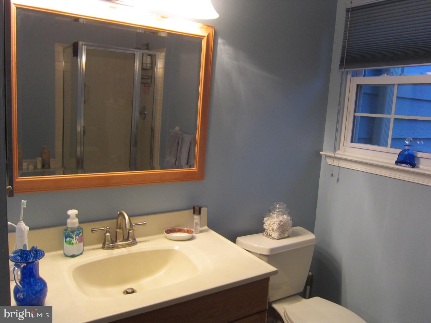 261 Tulip Tree Court Blue Bell, PA 19422 - Photo 9 of 16 Master Bathroom