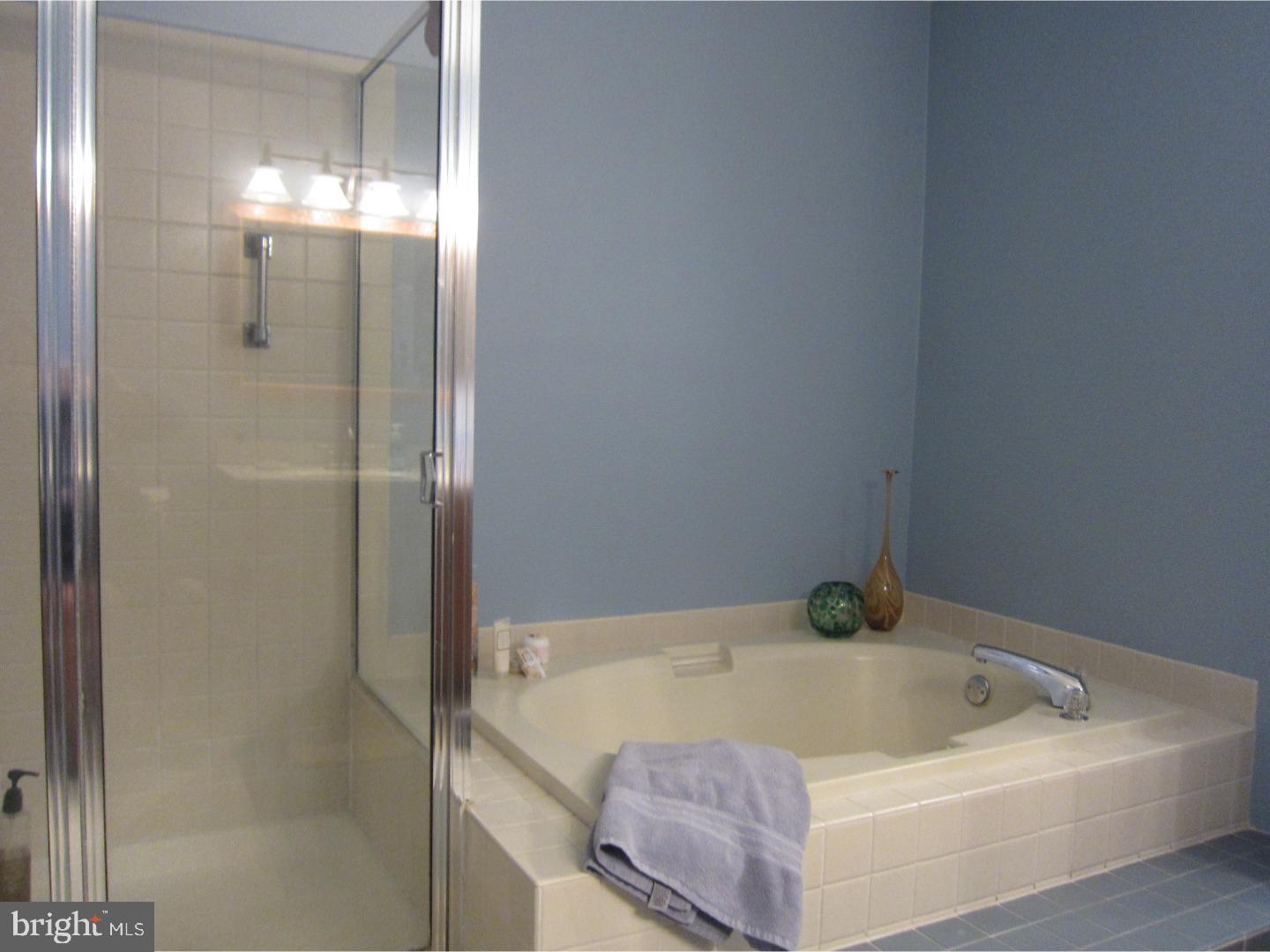 261 Tulip Tree Court Blue Bell, PA 19422 - Photo 10 of 16 Master Bathroom