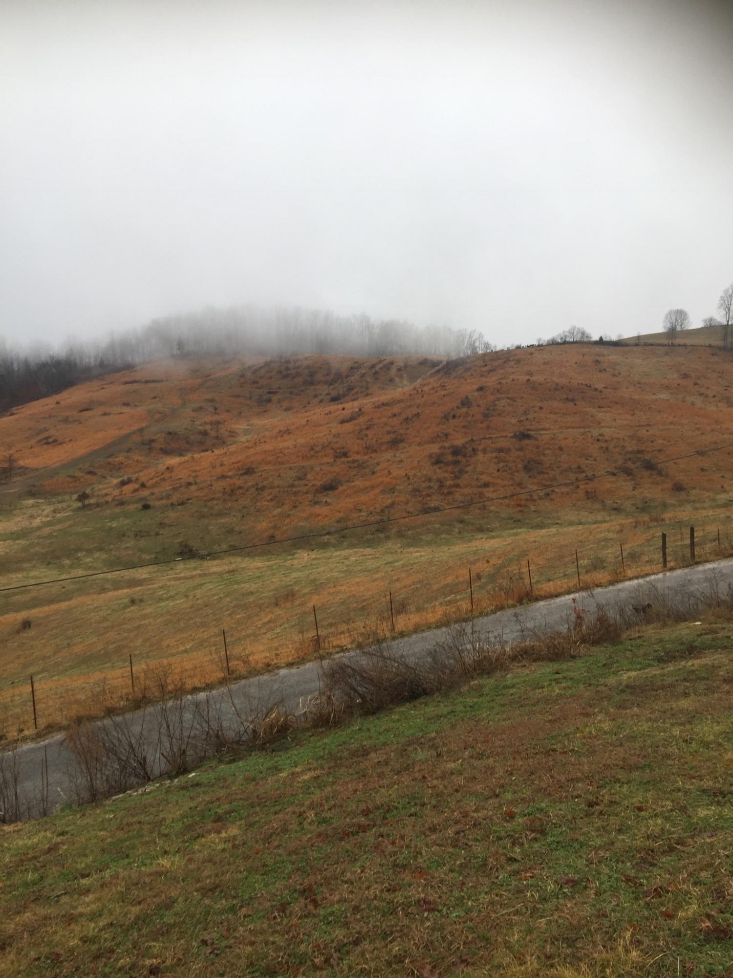 776 Raven Hill Road Tazewell, TN 37879 - Photo 3 of 8 FE43AE83-4D20-47BD-9DEA-8EEB42B9169B