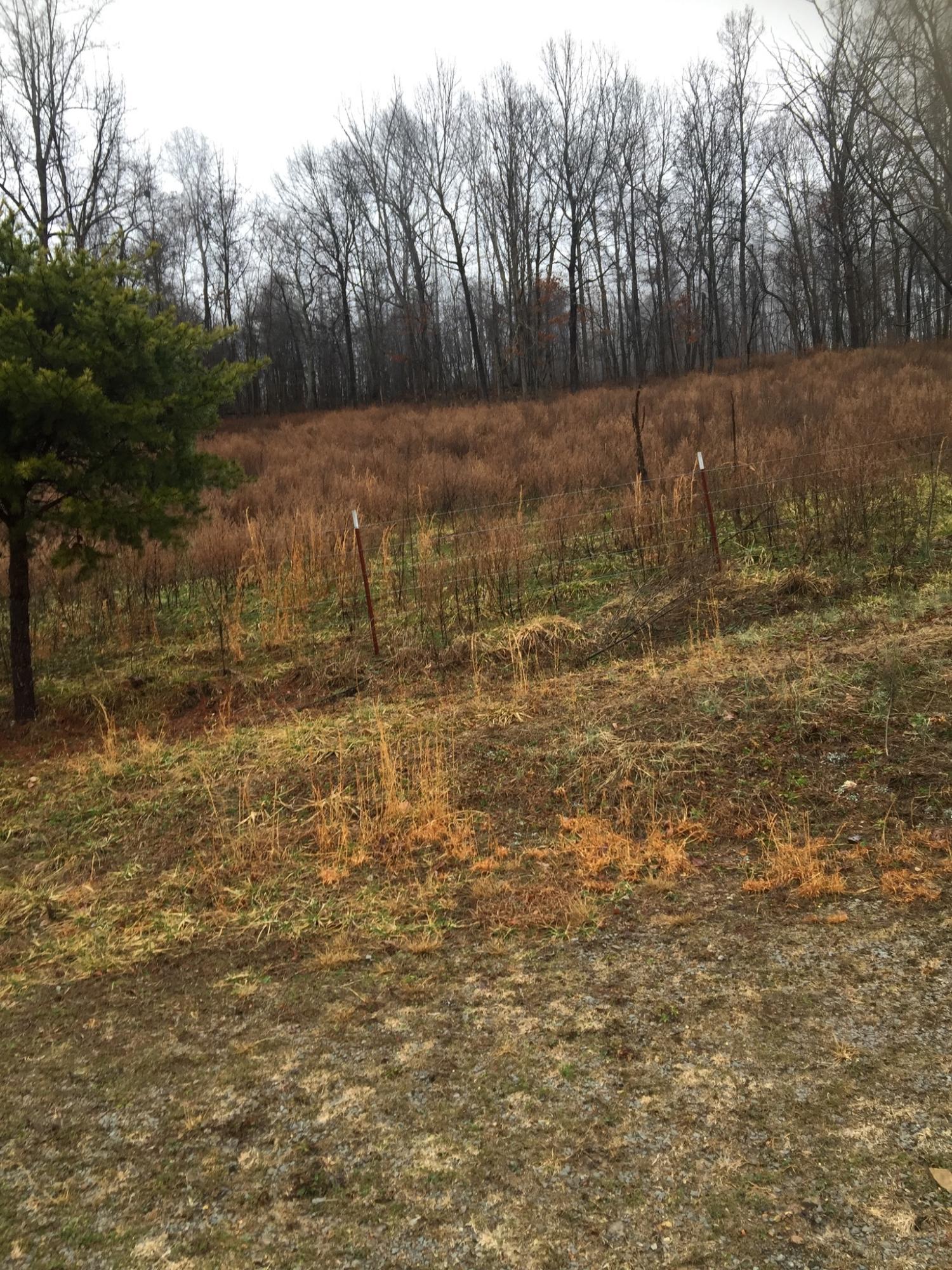 776 Raven Hill Road Tazewell, TN 37879 - Photo 6 of 8 1F70FA35-74D7-4B57-AE6B-3868AC5EDC25