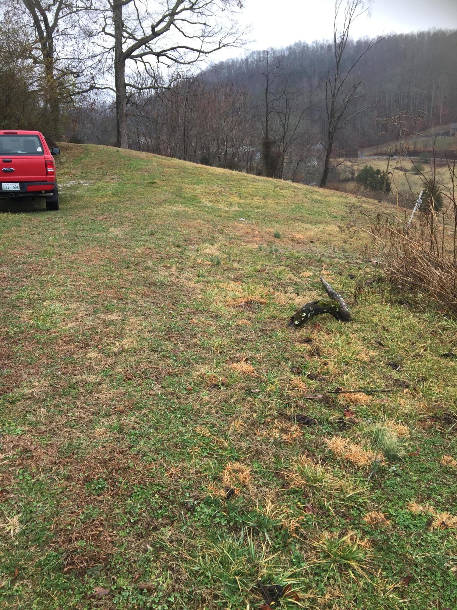 776 Raven Hill Road Tazewell, TN 37879 - Photo 8 of 8 A6722B18-D003-46C0-9999-07B92030BAAC