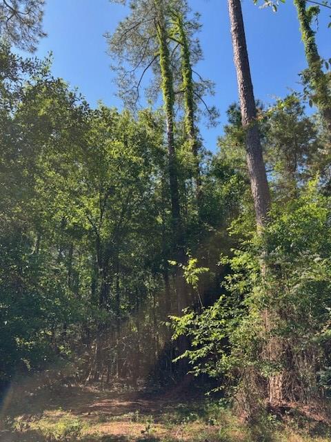 362 Freddie Whiddon Road Webb, AL 36376 - Photo 3 of 8
