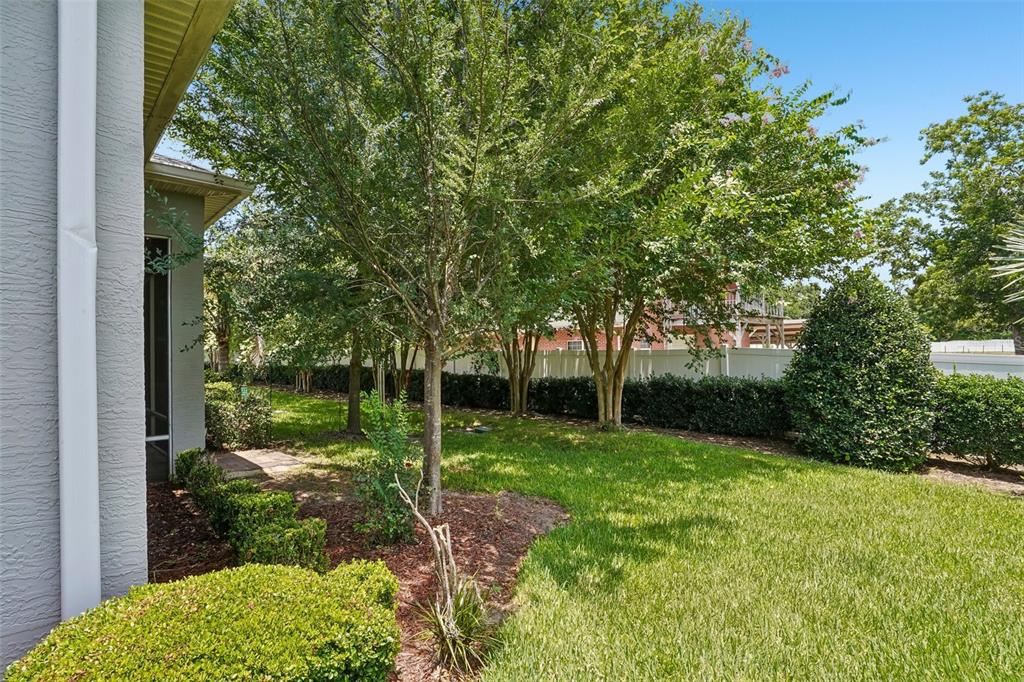 10339 Addison Shore Way Oxford, FL 34484 - Photo 53 of 54 a view of a backyard with tree