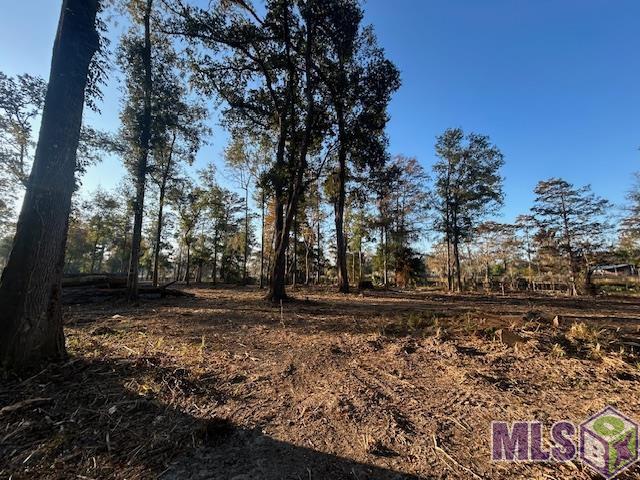 14305 Old River Road Maurepas, LA 70449 - Photo 12 of 12