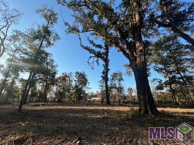 14305 Old River Road Maurepas, LA 70449 - Photo 10 of 14