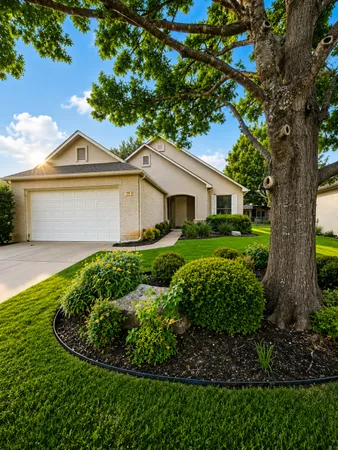 a view of a house with a small yard plants and a large tree
