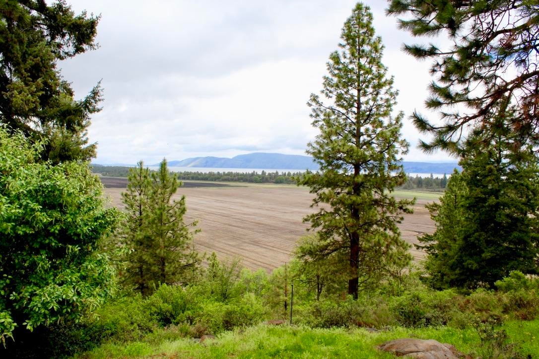 11547 Kestrel Road Klamath Falls, OR 97601 - Photo 44 of 46 Gallery Image 44