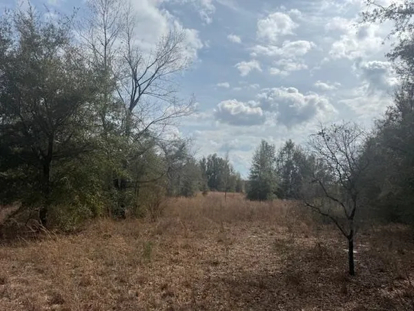 $163,000 | Sw Cr Sw Cr, Jasper, FL 32052