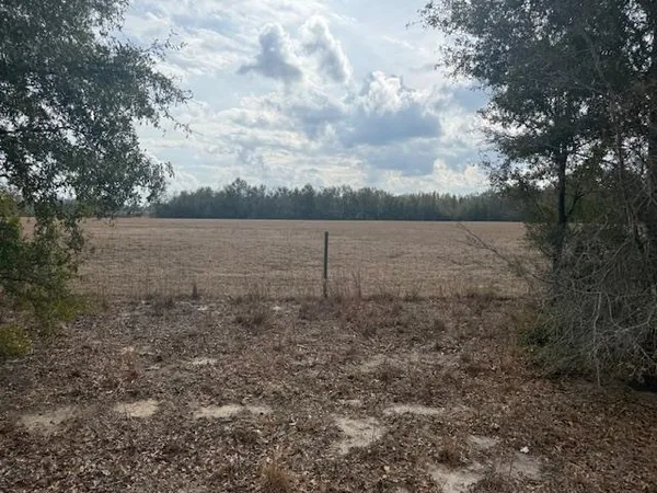 $163,000 | Sw Cr Sw Cr, Jasper, FL 32052