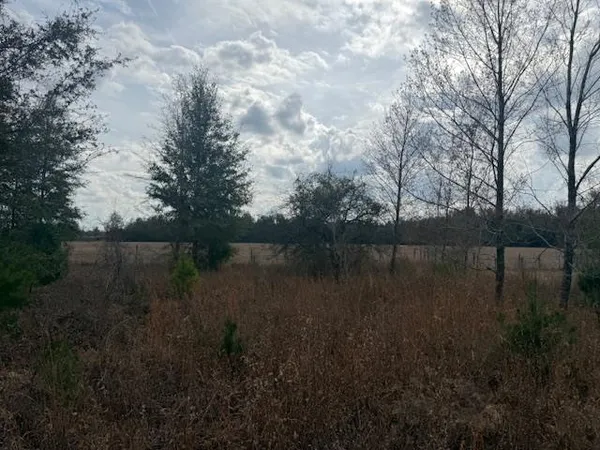 $163,000 | Sw Cr Sw Cr, Jasper, FL 32052