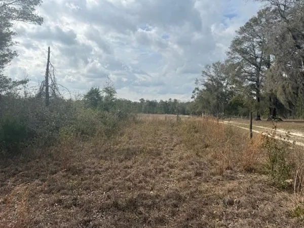 $163,000 | Sw Cr Sw Cr, Jasper, FL 32052