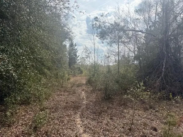 $163,000 | Sw Cr Sw Cr, Jasper, FL 32052