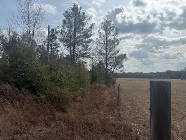 $163,000 | Sw Cr Sw Cr, Jasper, FL 32052