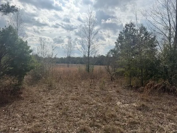 $163,000 | Sw Cr Sw Cr, Jasper, FL 32052