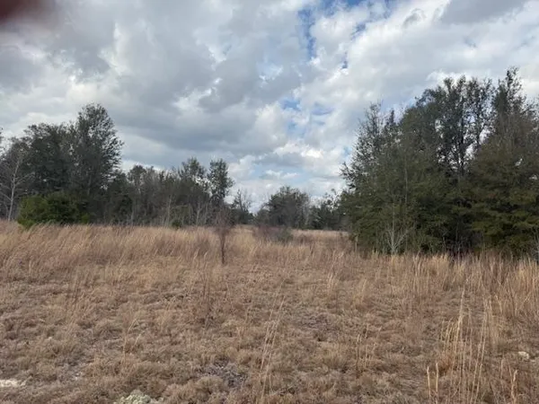 $163,000 | Sw Cr Sw Cr, Jasper, FL 32052