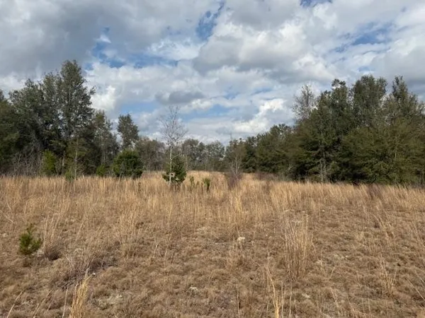 $163,000 | Sw Cr Sw Cr, Jasper, FL 32052