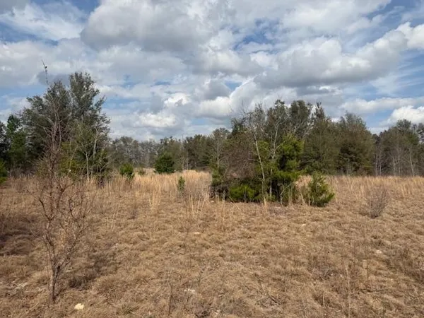 $163,000 | Sw Cr Sw Cr, Jasper, FL 32052