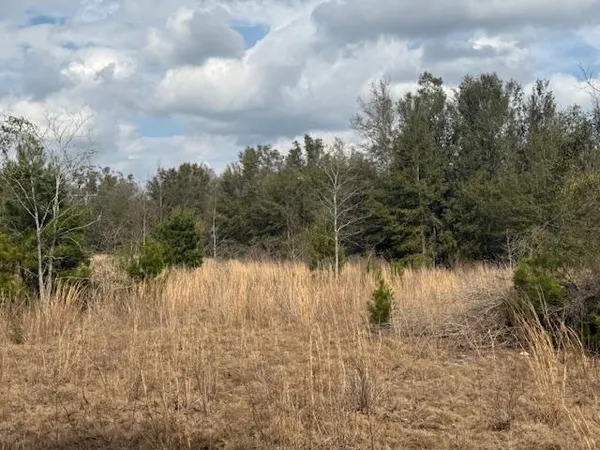 $163,000 | Sw Cr Sw Cr, Jasper, FL 32052