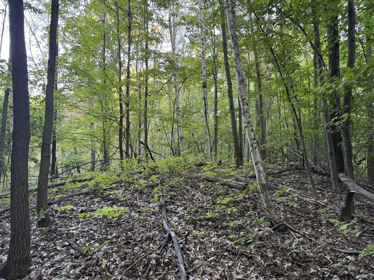 15 15 Mile Road Leroy, MI 49655 - Photo 9 of 14