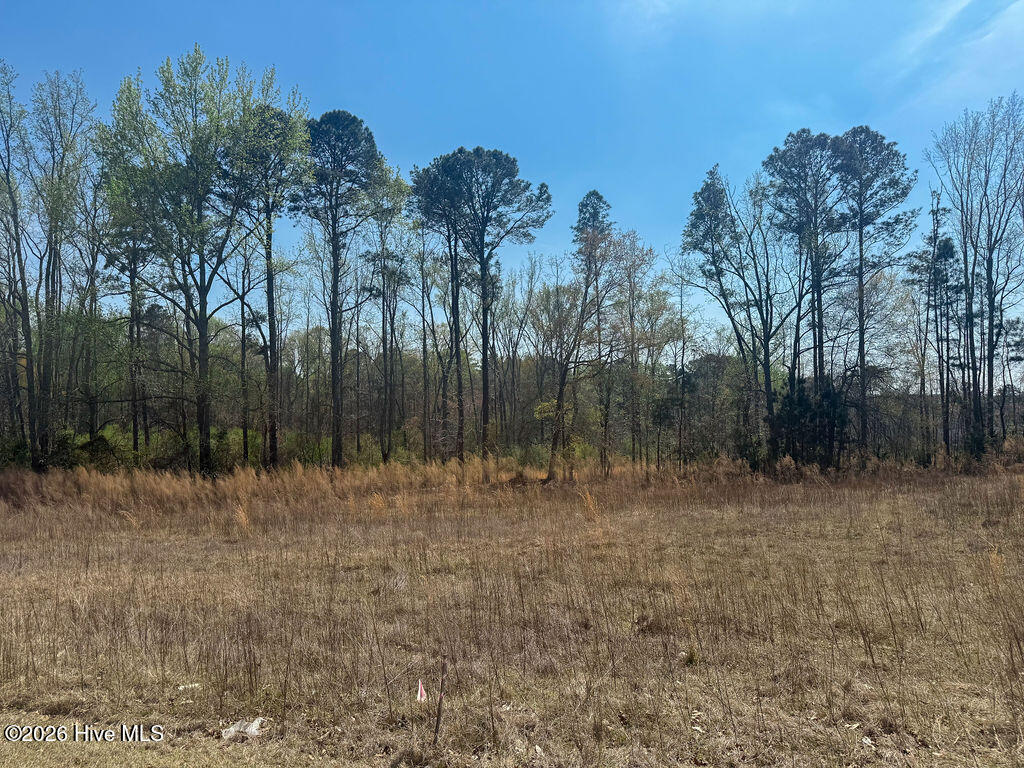 3 Connell Road Carthage, NC 28327 - Photo 13 of 15 13