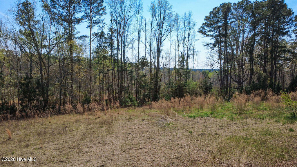 3 Connell Road Carthage, NC 28327 - Photo 7 of 15 7