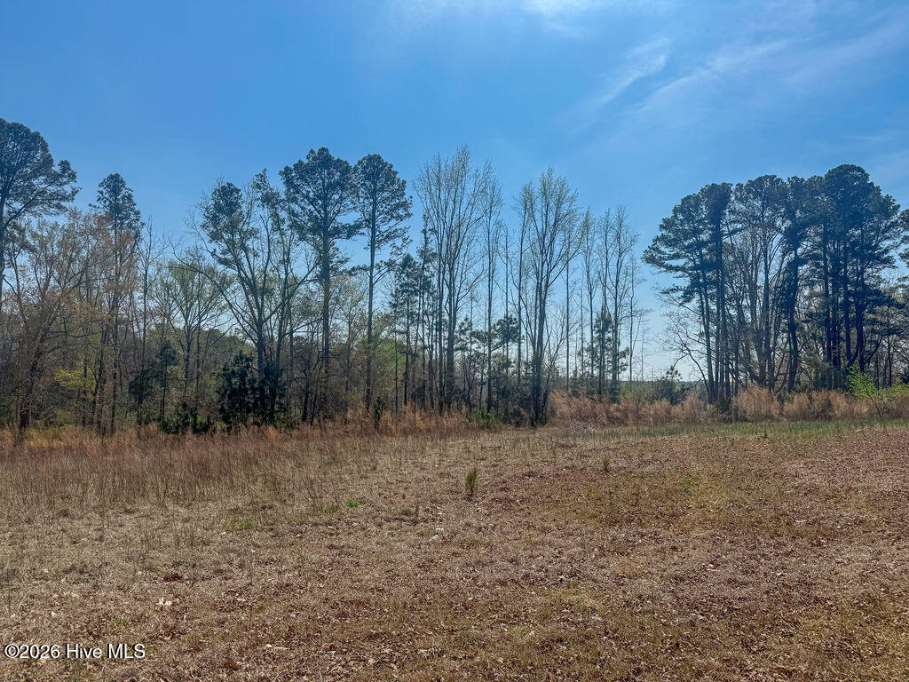3 Connell Road Carthage, NC 28327 - Photo 10 of 15 10