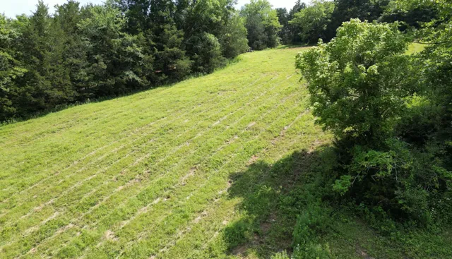 $139,000 | 0 Robinson Road, Dellrose, TN 38453