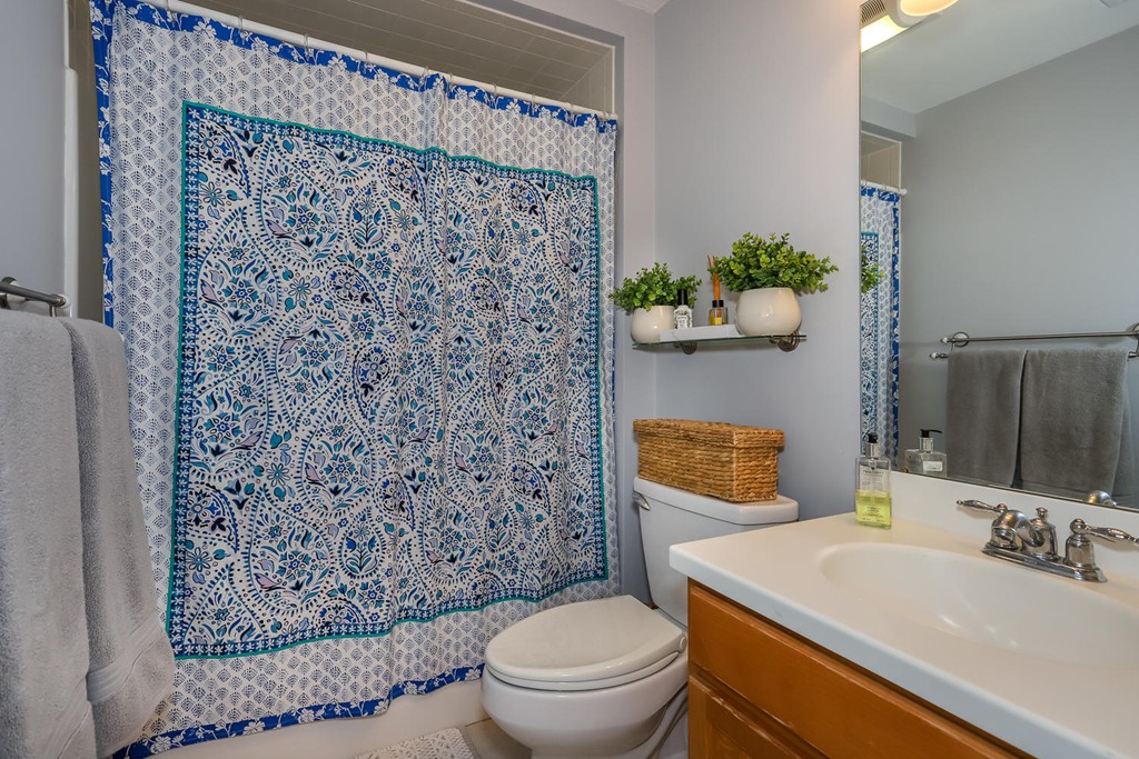 29 Maple Street, Unit D Canton, MA 02021 - Photo 9 of 14 Gallery Image 9