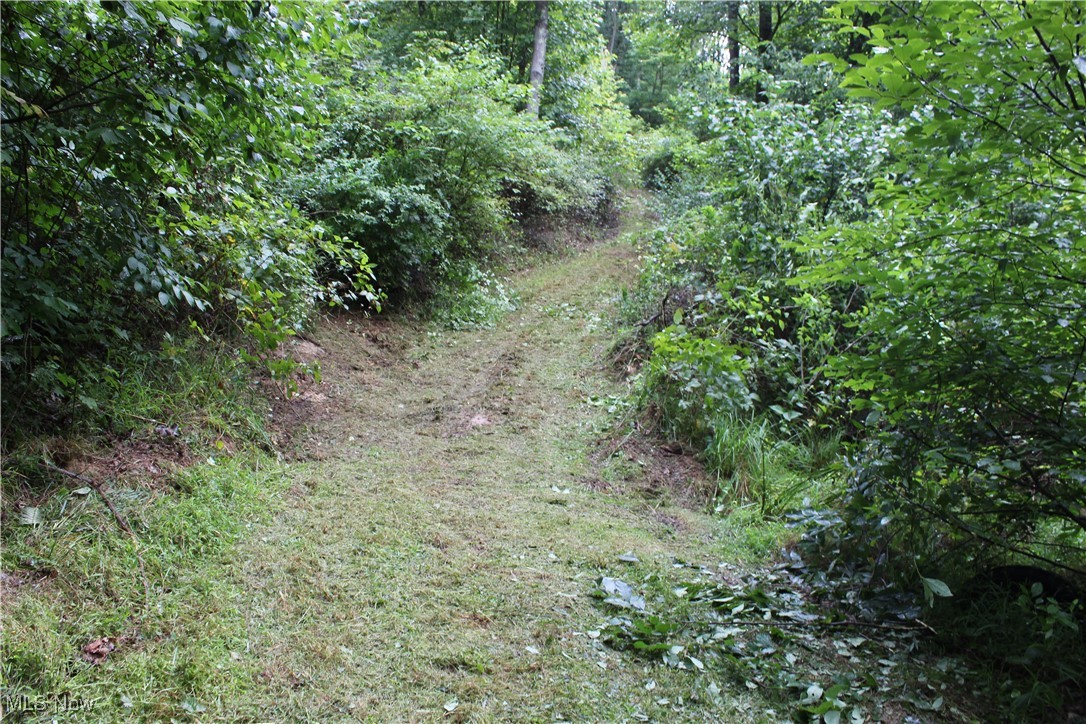 Slaughter Hill Road Cambridge, OH 43725 - Photo 7 of 8 View of local wilderness