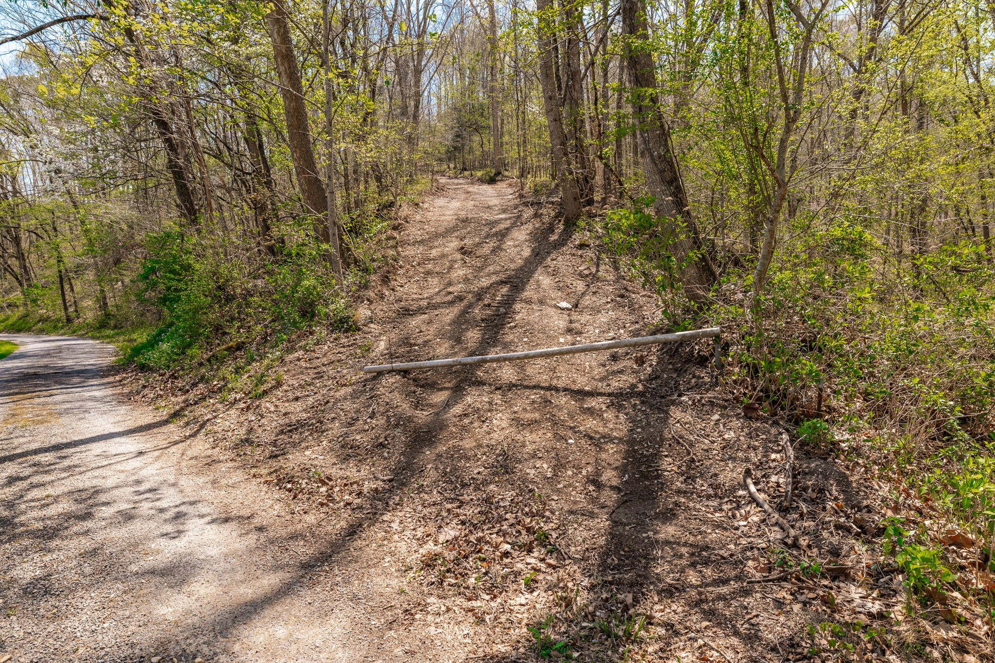 0 Mound Creek Road Kingston Springs, TN 37082 - Photo 19 of 97
