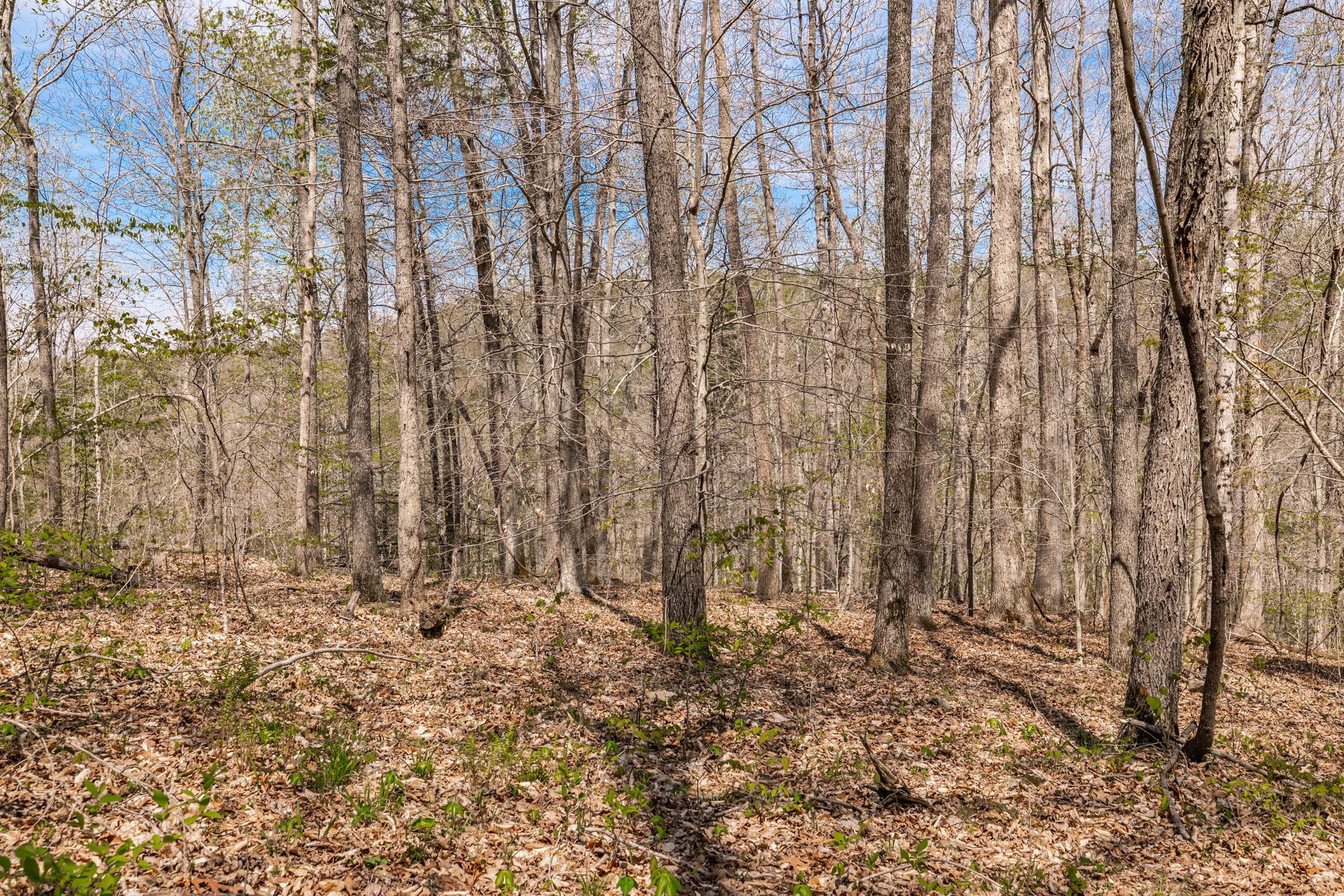 0 Mound Creek Road Kingston Springs, TN 37082 - Photo 22 of 97