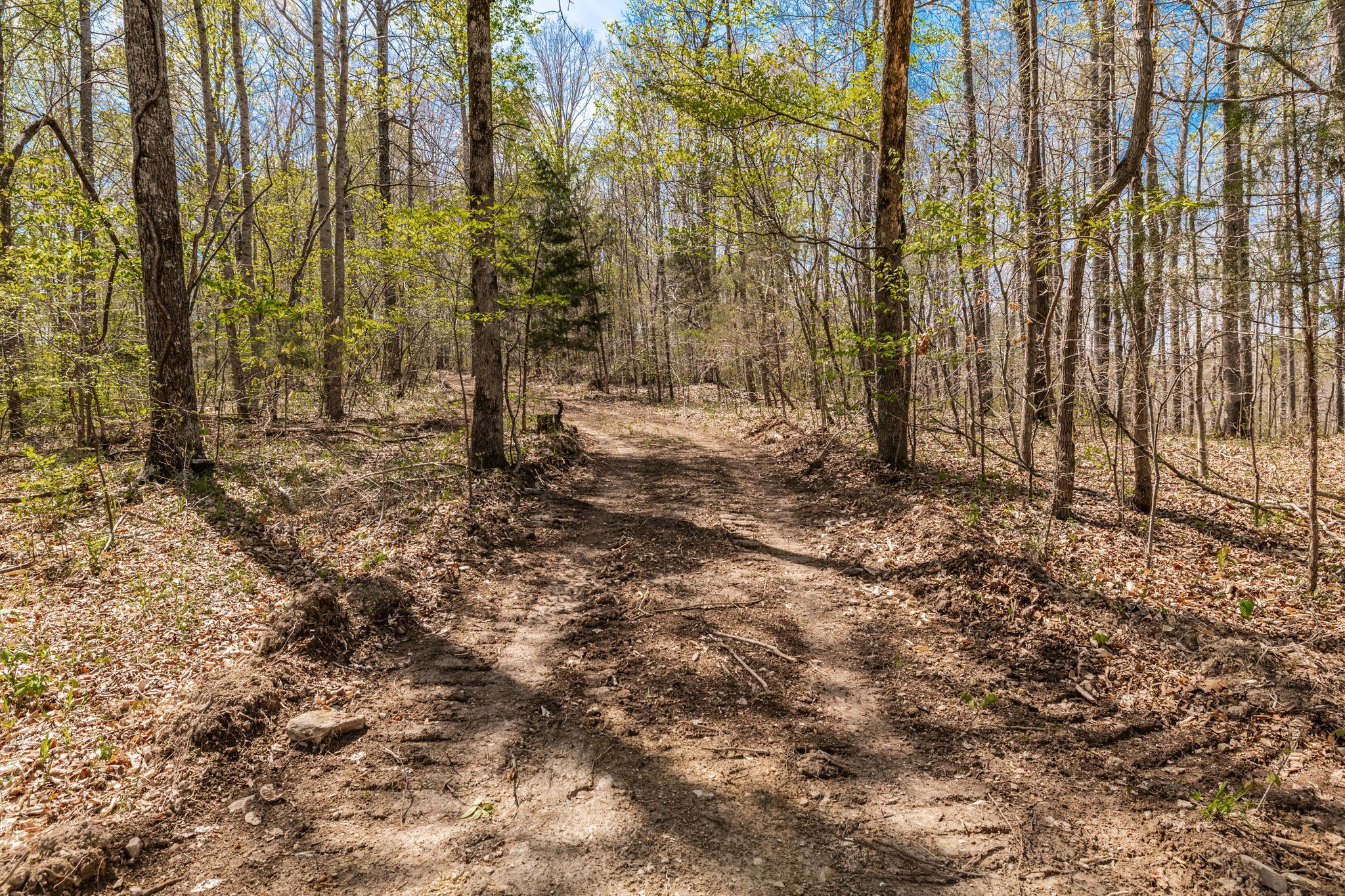 0 Mound Creek Road Kingston Springs, TN 37082 - Photo 23 of 97